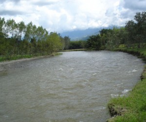 Coffee Region landscape. Source: Uff.Travel