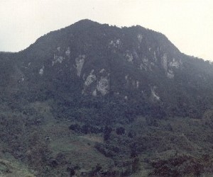 Ecoparque Peñas Blancas Fuente: wikimedia.org por Jesus Alfonso Lopez